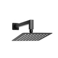 Chuveiro Inox Black Swaty