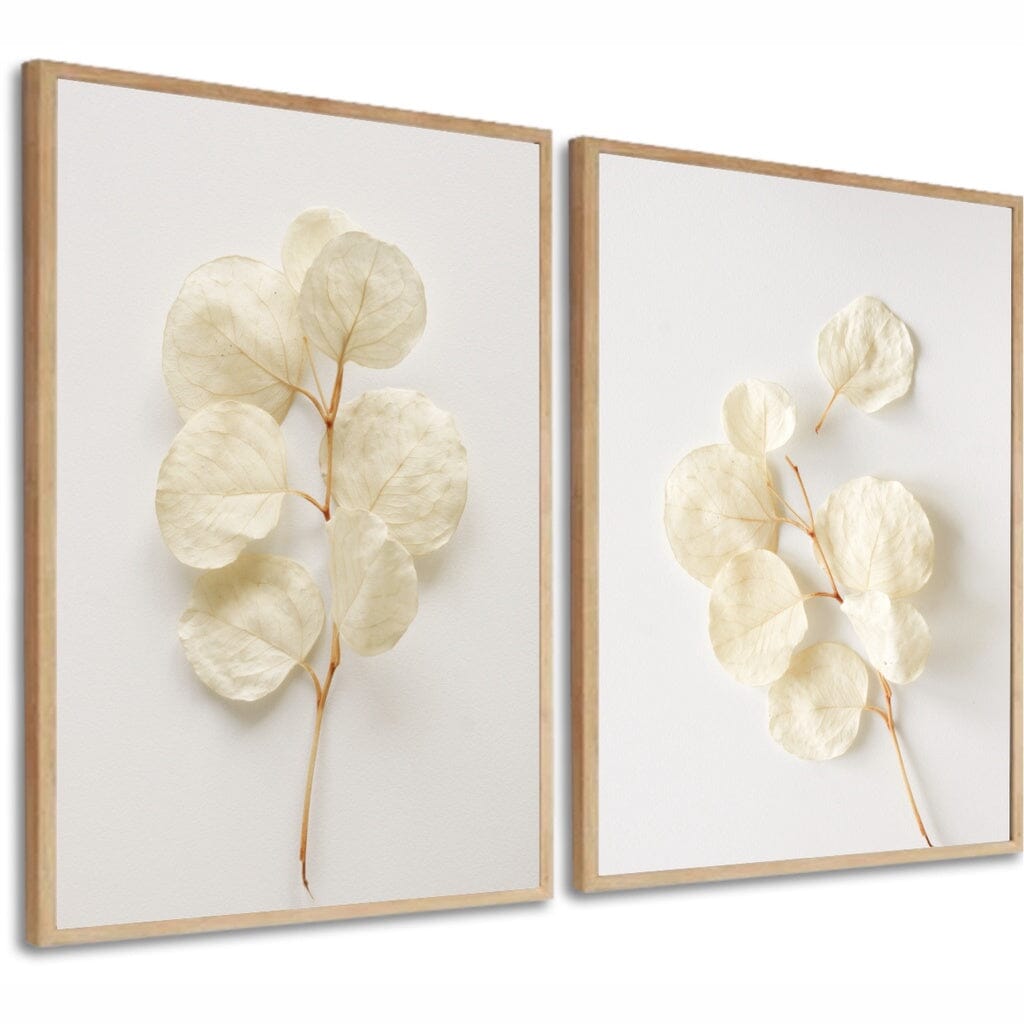 Kit 2 Quadros Decorativos Flores Brancas Botânico Para Sala Casa Quarto Hall Com Moldura e Vidro