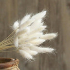 Pampa Grass Pompom - 30 peças