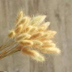 Pampa Grass Pompom - 30 peças