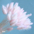 Pampa Grass Pompom - 30 peças