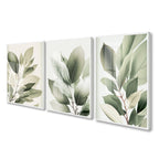 Kit 3 Quadros Decorativos Folhagem Folhas Verdes Com Vidro e Moldura