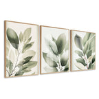 Kit 3 Quadros Decorativos Folhagem Folhas Verdes Com Vidro e Moldura