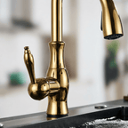 Torneira Gourmet Cozinha Extensível Monocomando Darty