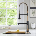 Torneira Gourmet Cozinha Monocomando Com Saída Filtro Luxo Premium Luxo 360° -  Kube