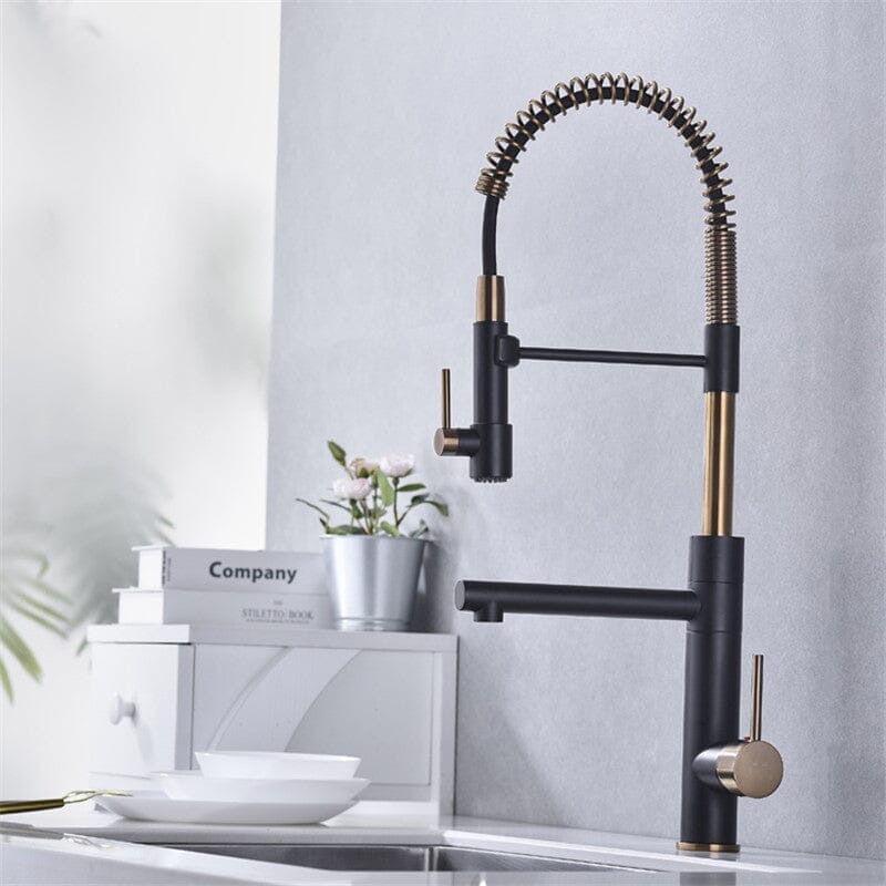 Torneira Gourmet Cozinha Monocomando Com Saída Filtro Luxo Premium Luxo 360° -  Kube