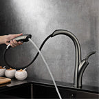 Torneira Para Cozinha Gourmet Aviator Luxury