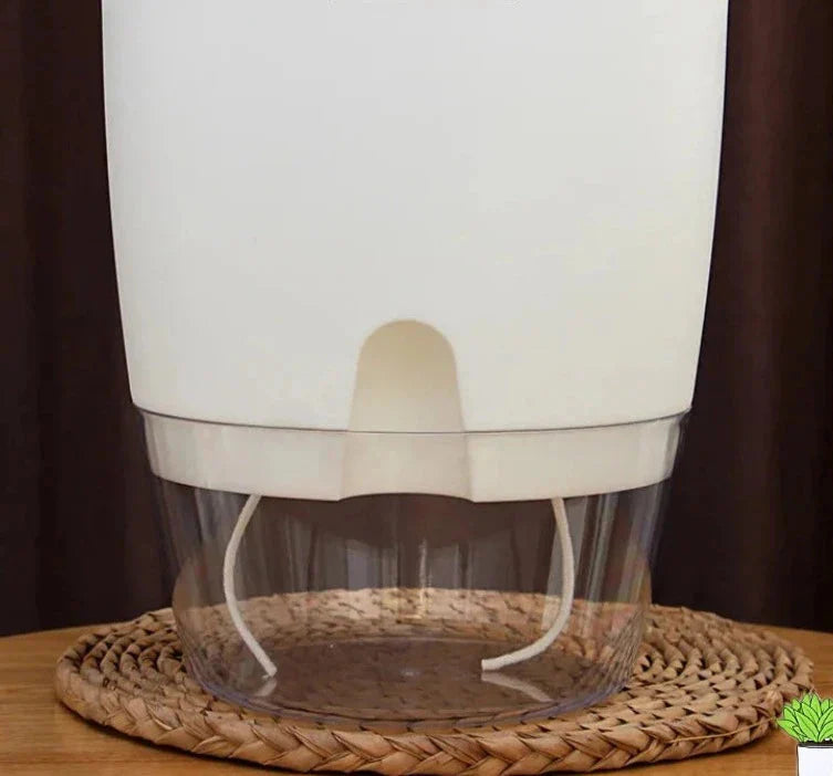 Vaso Brota Decor Auto Sustentável (COMPRE 1 LEVE 2 HOJE)
