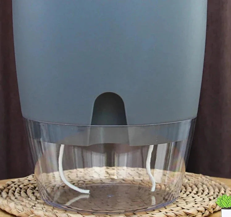 Vaso Brota Decor Auto Sustentável (COMPRE 1 LEVE 2 HOJE)