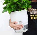 Vaso Brota Decor Auto Sustentável (COMPRE 1 LEVE 2 HOJE)