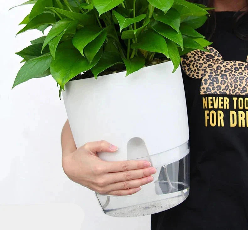 Vaso Brota Decor Auto Sustentável (COMPRE 1 LEVE 2 HOJE)