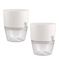 Vaso Brota Decor Auto Sustentável (COMPRE 1 LEVE 2 HOJE)