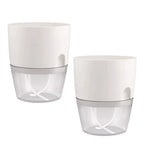 Vaso Brota Decor Auto Sustentável (COMPRE 1 LEVE 2 HOJE)