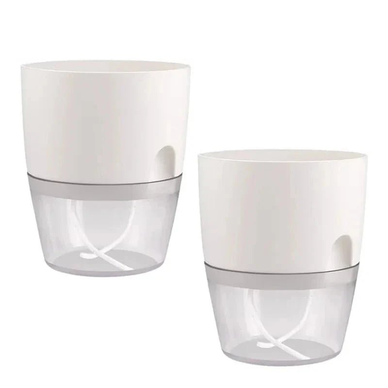 Vaso Brota Decor Auto Sustentável (COMPRE 1 LEVE 2 HOJE)